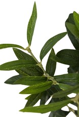 Faux Olive Tree Wide