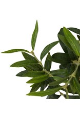 Faux Olive Tree Wide
