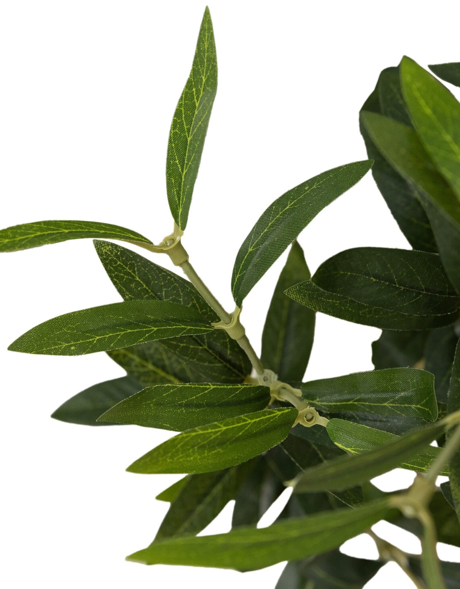 Faux Olive Tree Wide