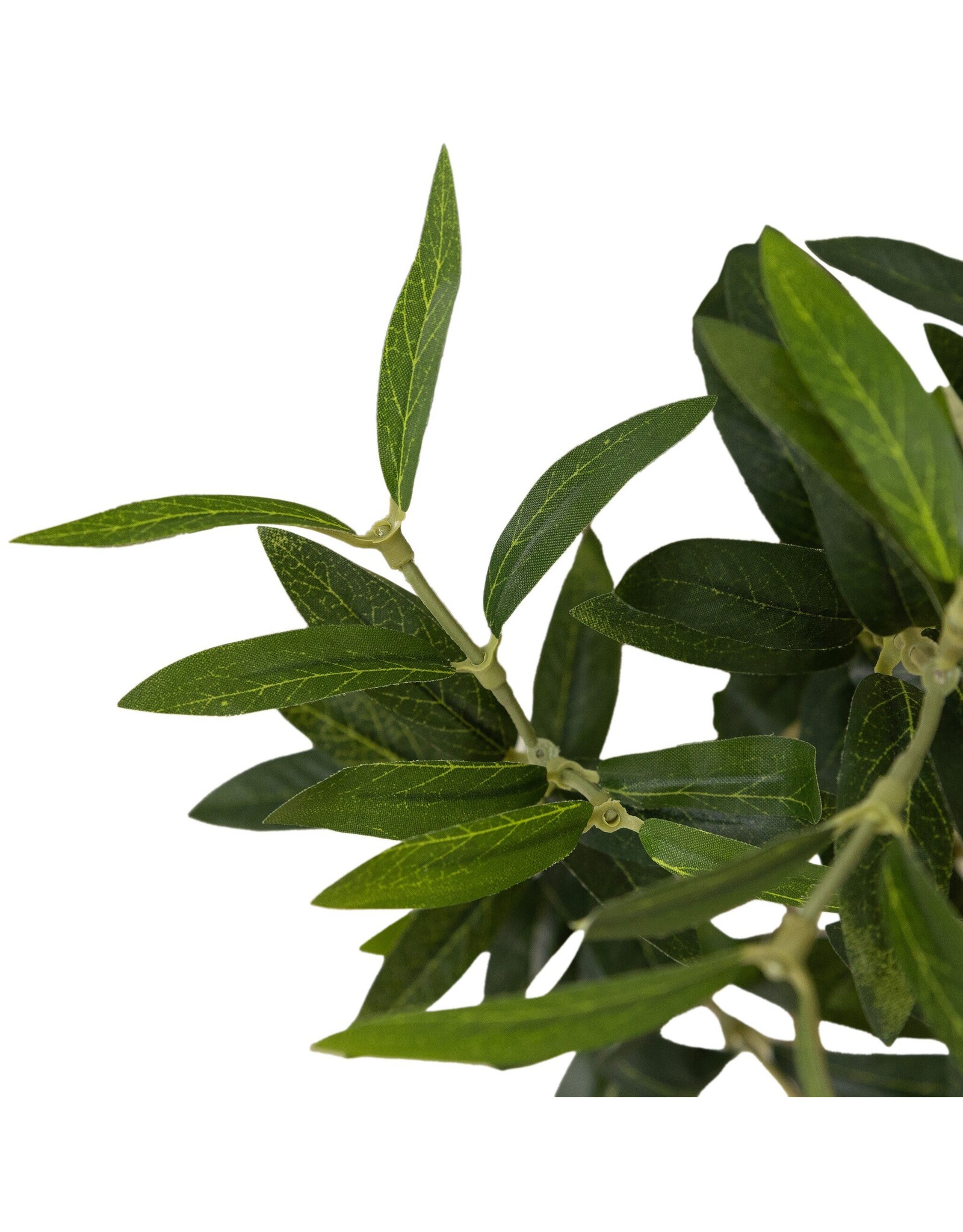 Faux Olive Tree Wide