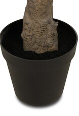 Faux Olive Tree Wide