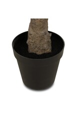 Faux Olive Tree Wide