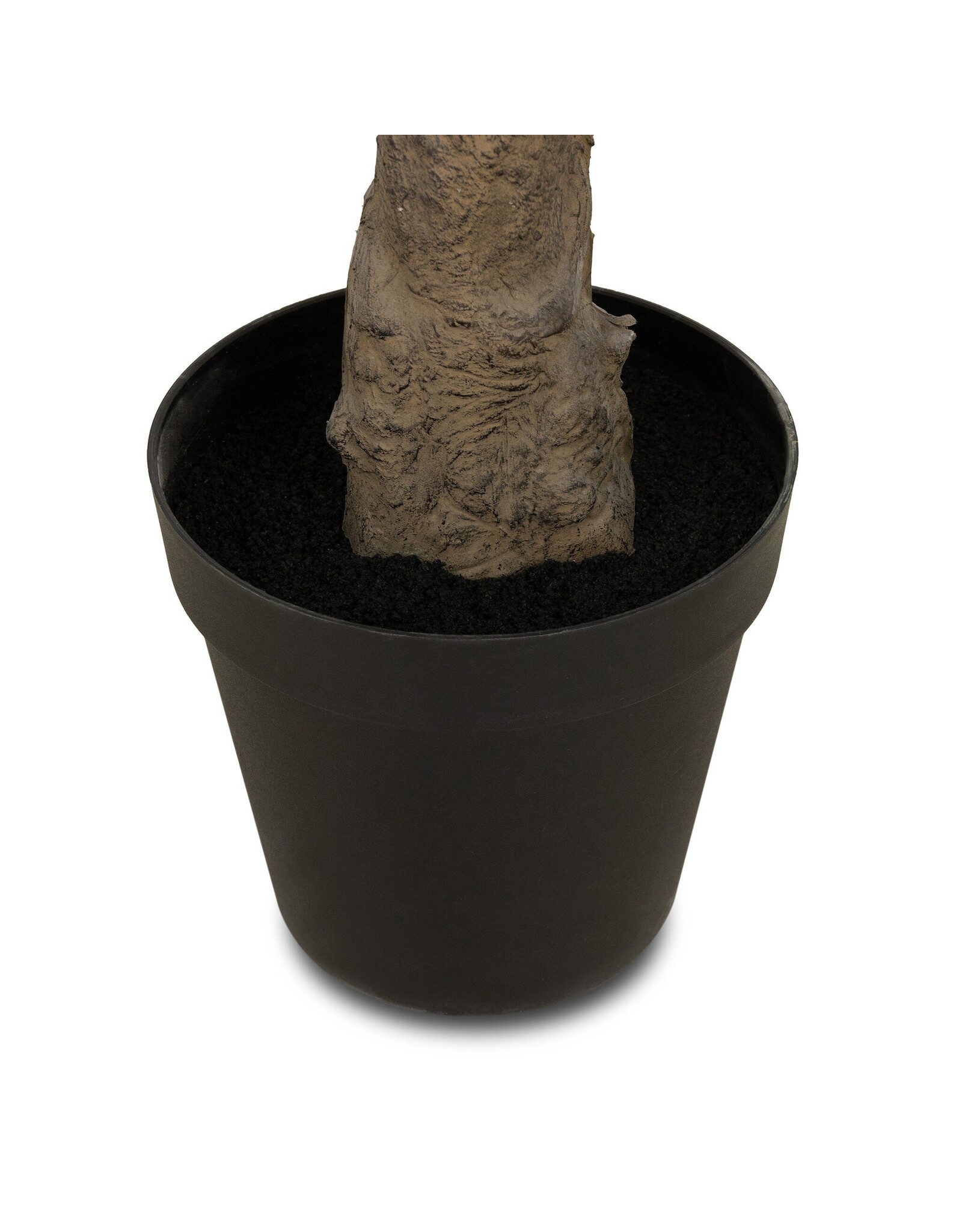 Faux Olive Tree Wide