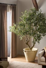 Faux Olive Tree Wide