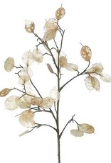 White/Pearl 26"H Lunaria Silver Dollar Spray
