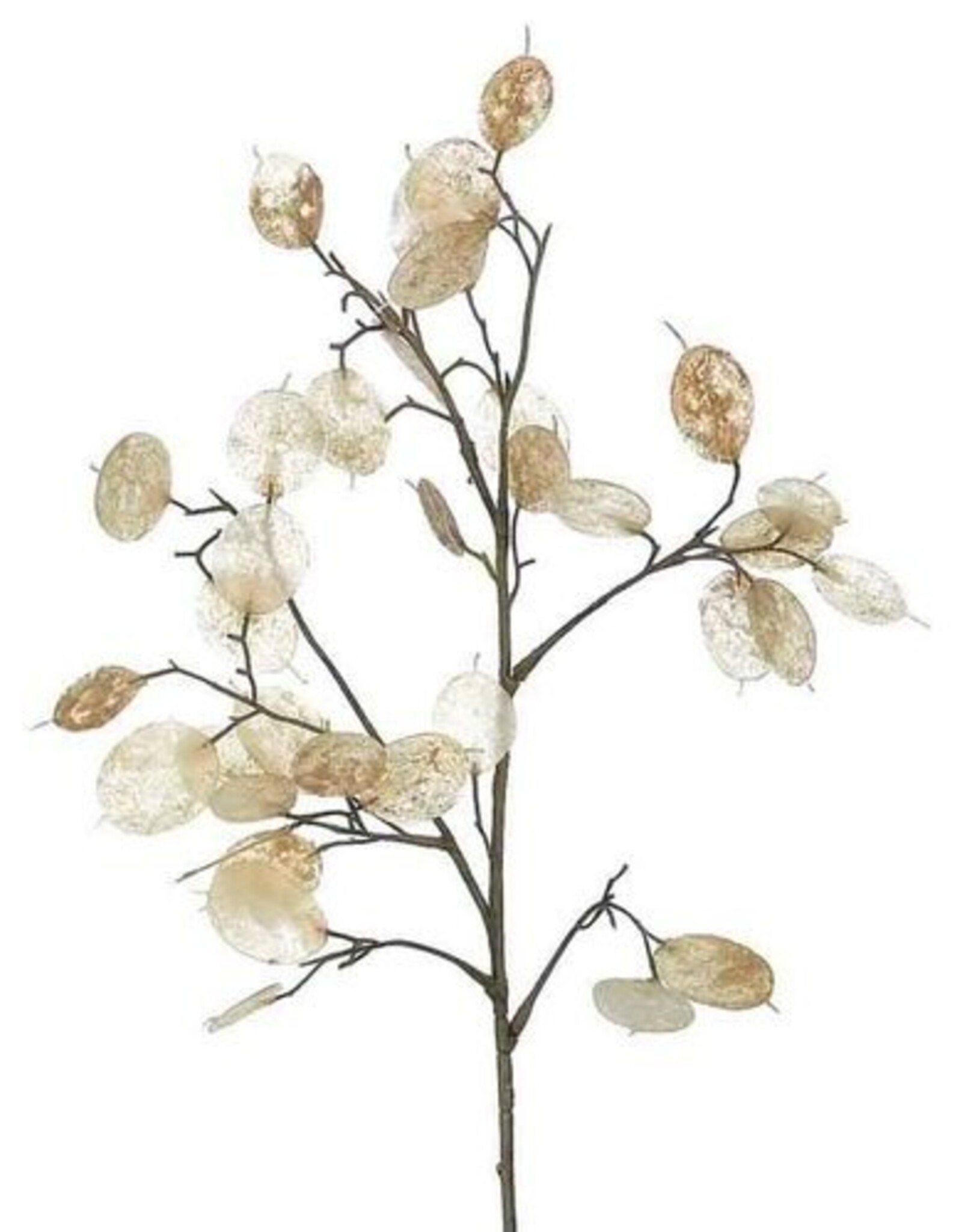 White/Pearl 26"H Lunaria Silver Dollar Spray