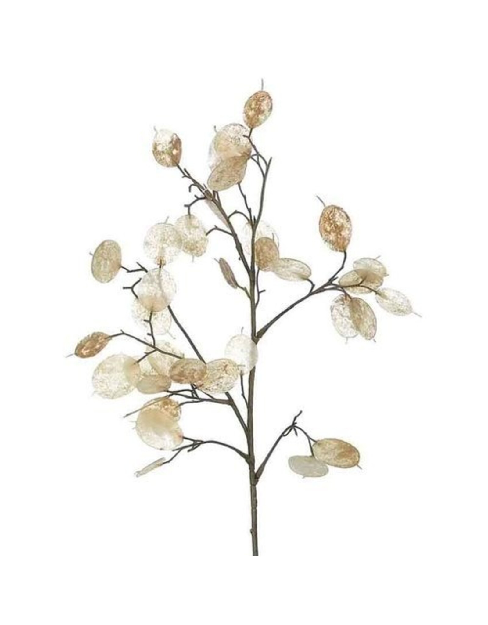 White/Pearl 26"H Lunaria Silver Dollar Spray