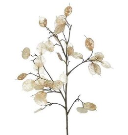 White/Pearl 26"H Lunaria Silver Dollar Spray