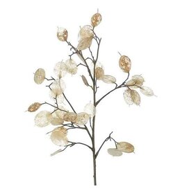 White/Pearl 26"H Lunaria Silver Dollar Spray