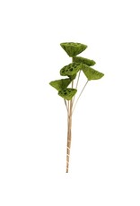Green 2 1/2"-3 1/2"Dia Moss Coated Lotus Pods on16-18"H Stem