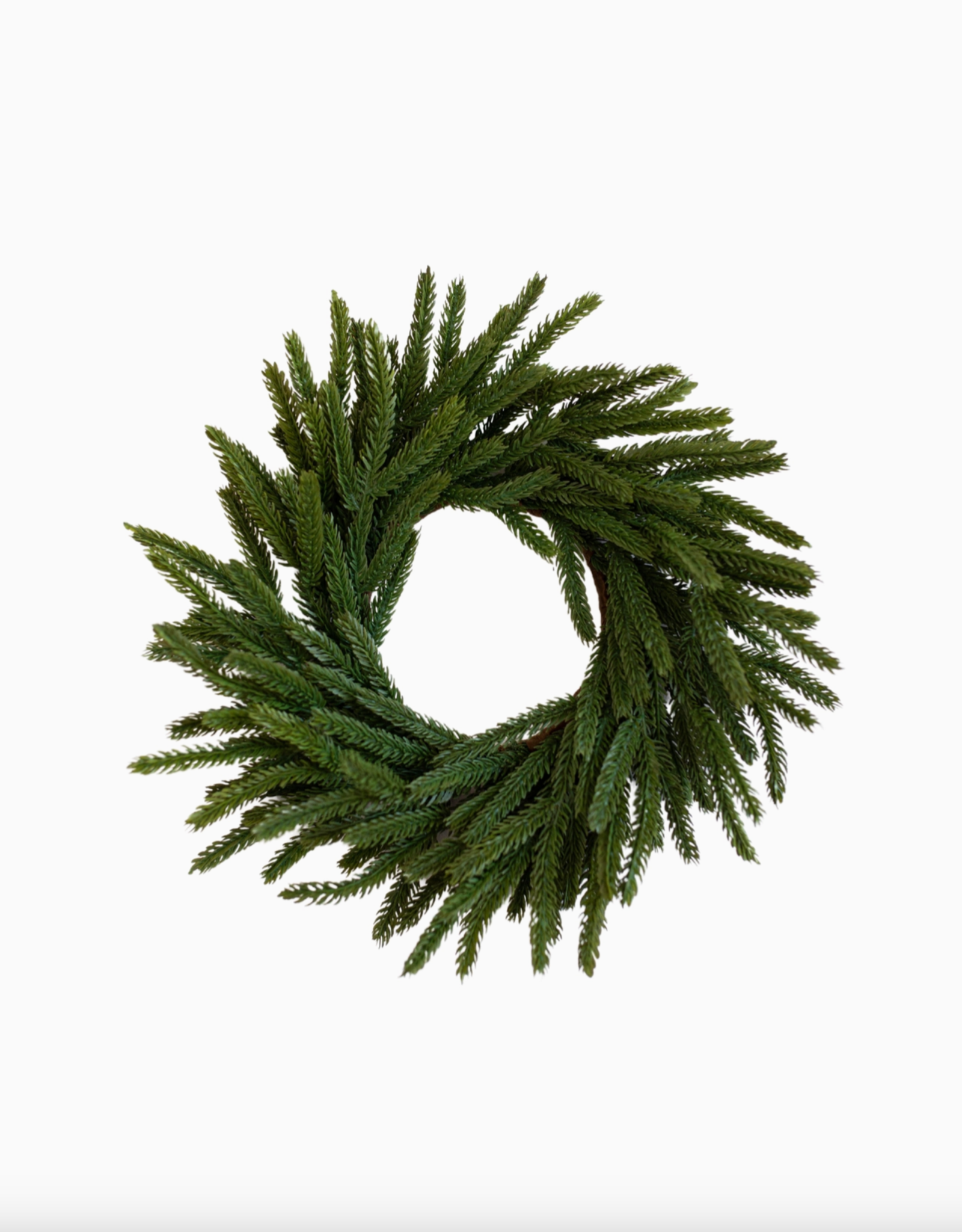 Norfolk Pine Real Touch Wreath 12"