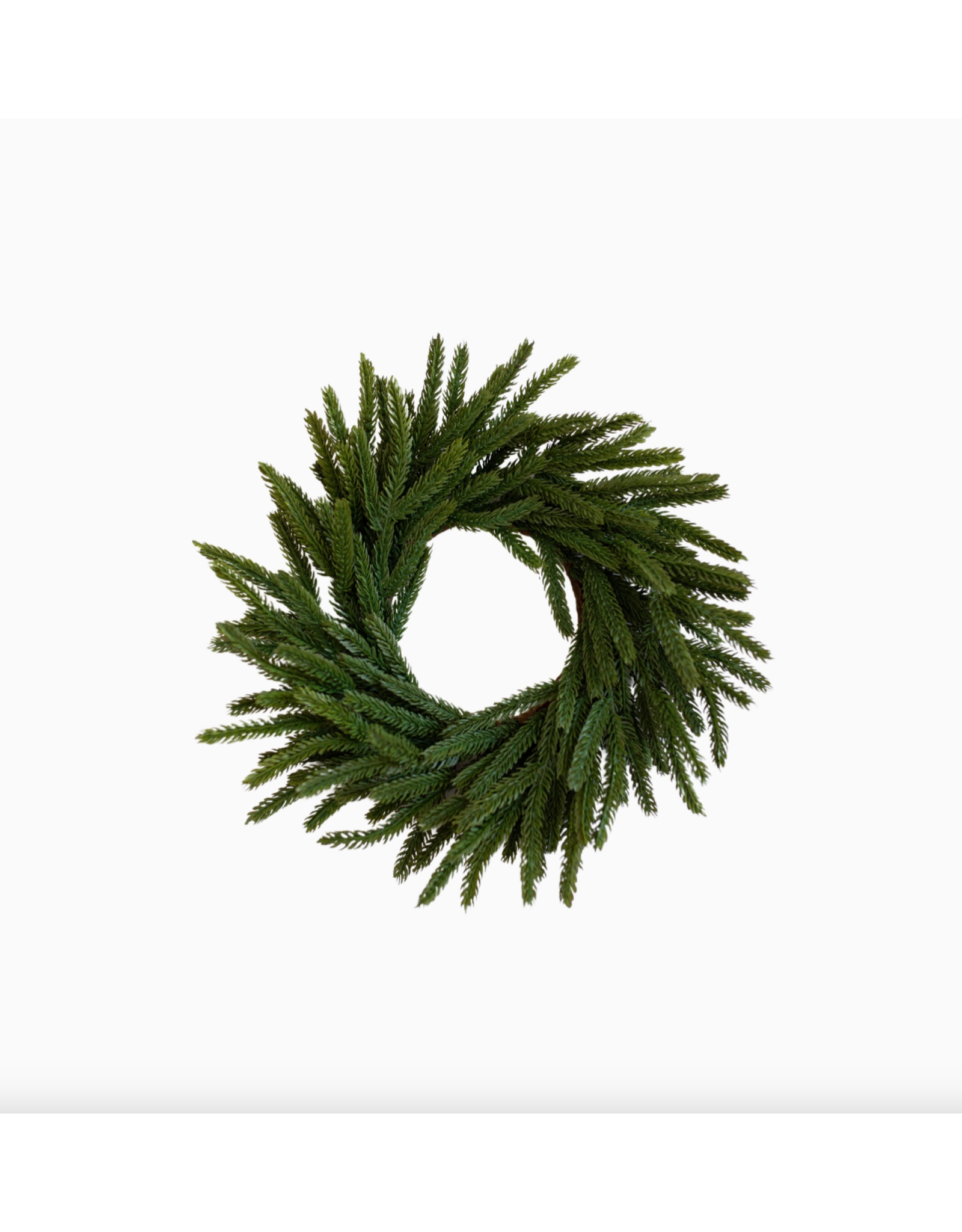 Norfolk Pine Real Touch Wreath 12"
