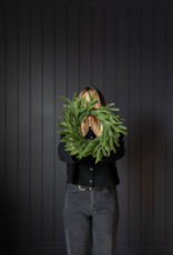Norfolk Pine Real Touch Wreath 12"