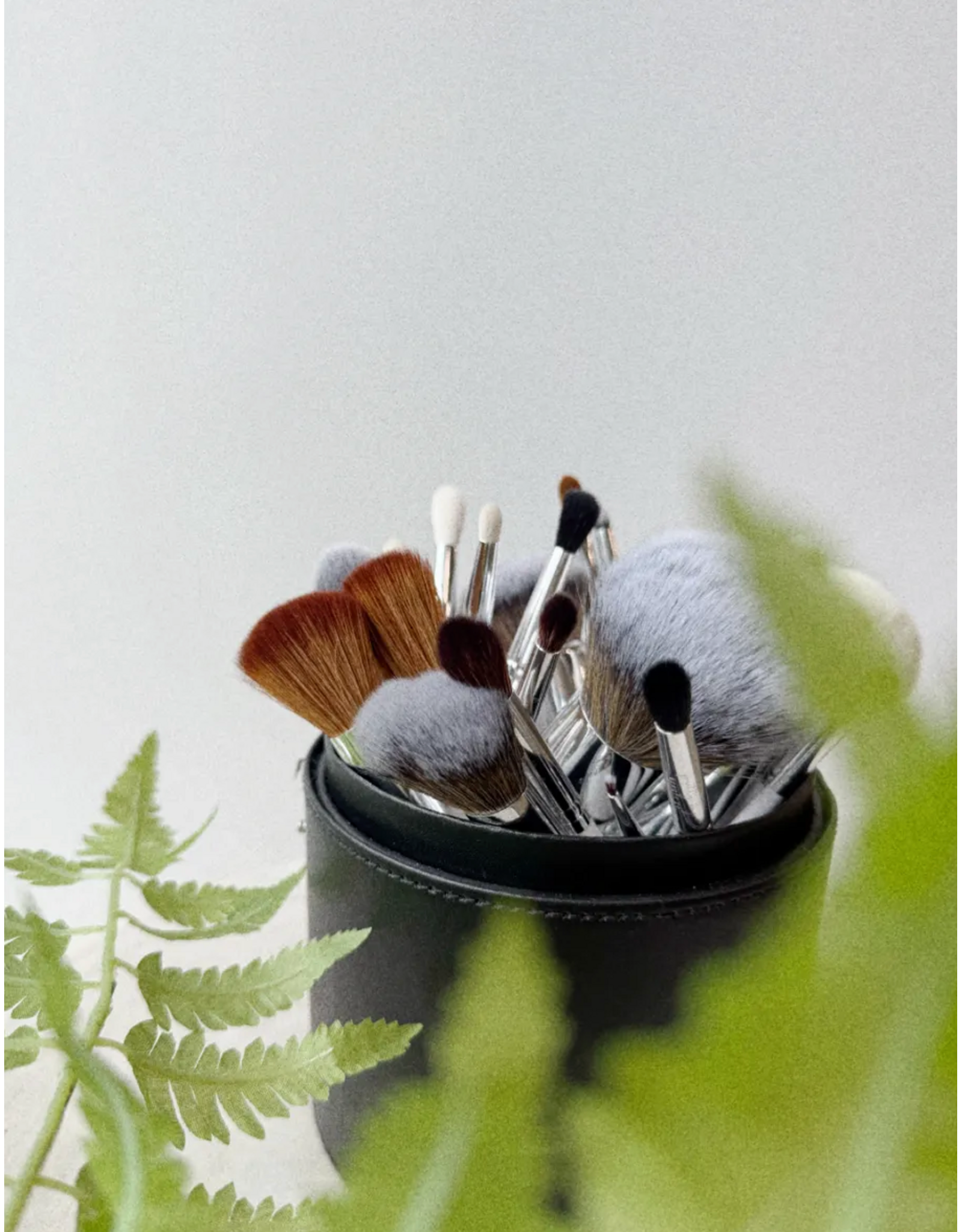 Ultimate Brush Set