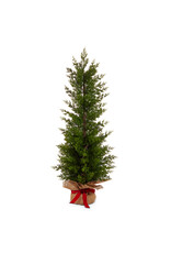36" Cedar Tree in Burlap Bag