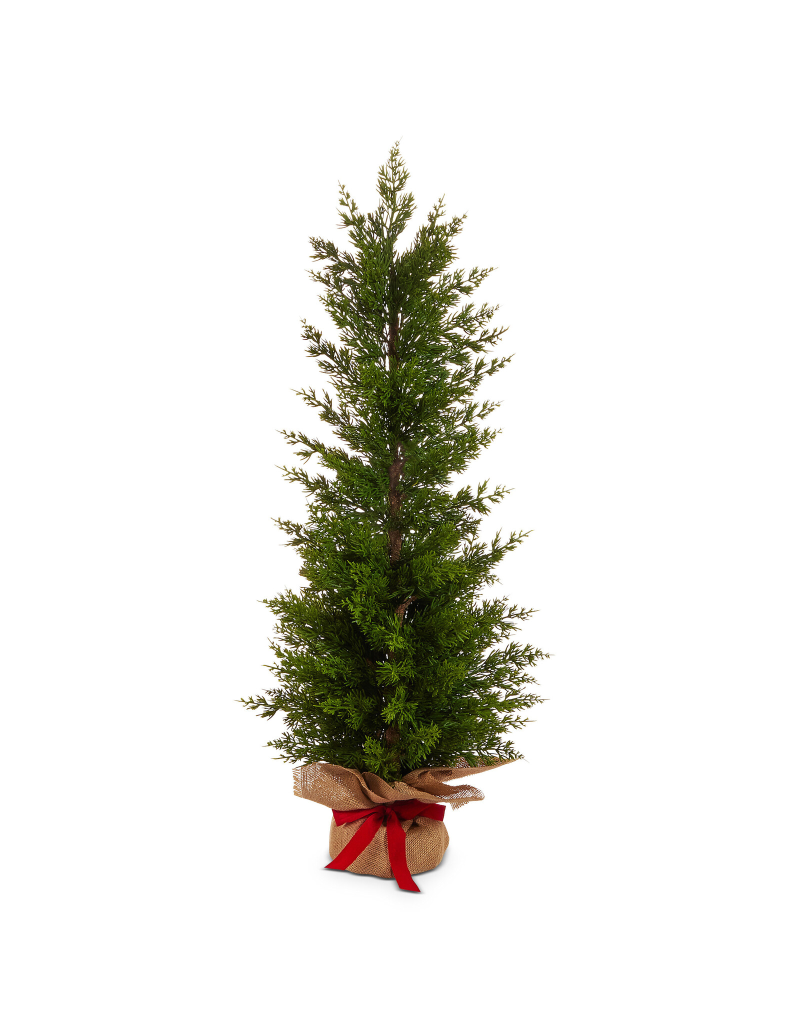 36" Cedar Tree in Burlap Bag