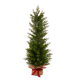 36" Cedar Tree in Burlap Bag