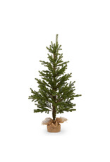 45" Noble Fir Tree in Burlap Bag