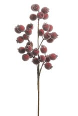 21" Iced Burgundy Berry Pod Spray