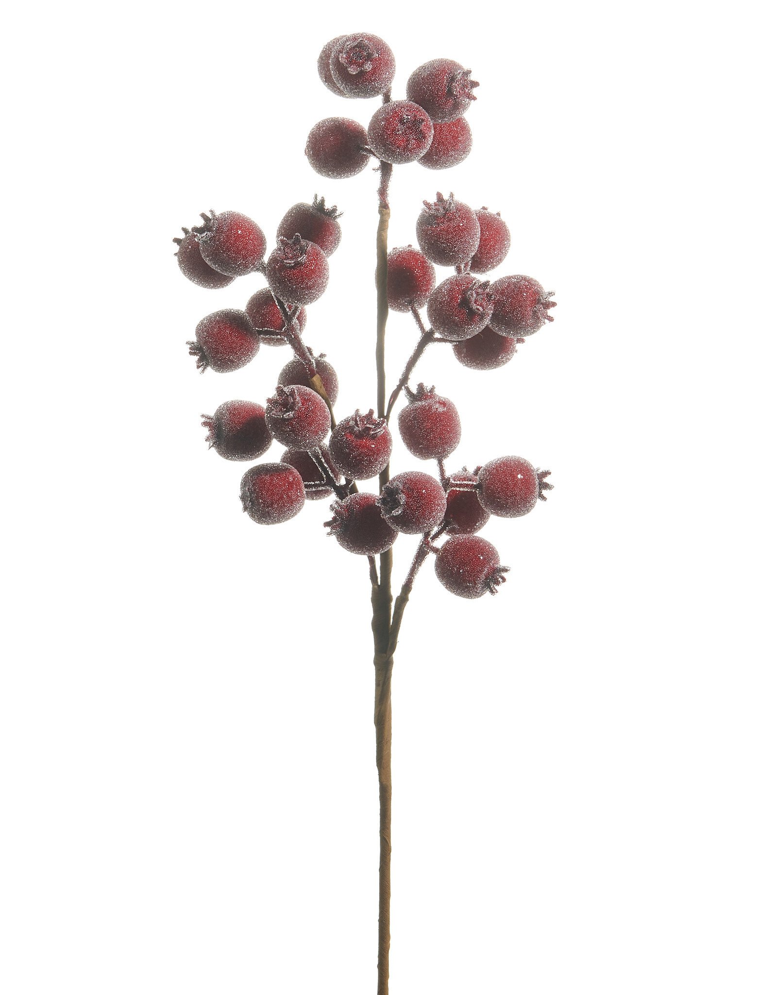 21" Iced Burgundy Berry Pod Spray