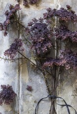 Artificial Queen Anne's Lace, Purple