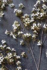 Artificial Prunus Blosson, Cream