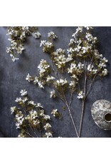 Artificial Prunus Blosson, Cream