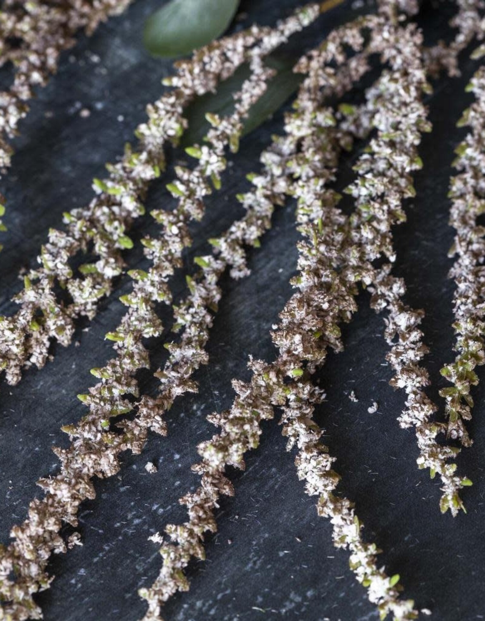 Artificial Amaranthus, Blush