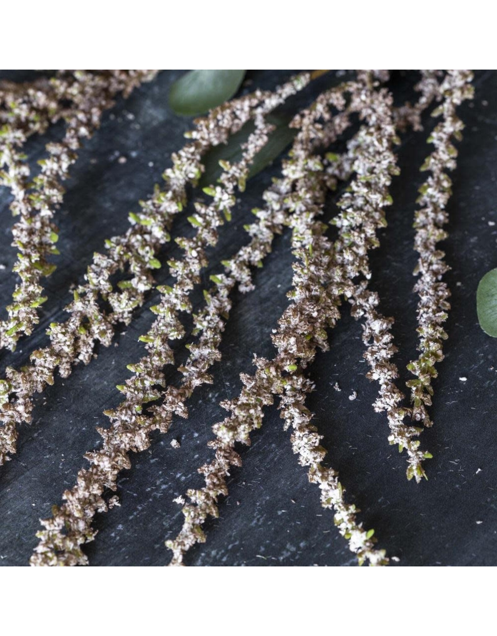 Artificial Amaranthus, Blush