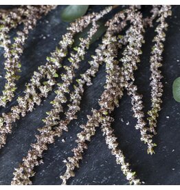 Artificial Amaranthus, Blush