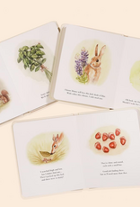 Our Little Adventures: Stories Featuring Foundational Language Concepts for Growing Minds