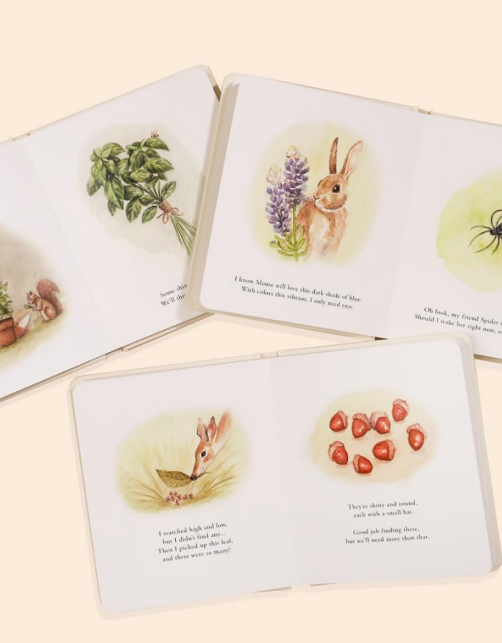 Our Little Adventures: Stories Featuring Foundational Language Concepts for Growing Minds