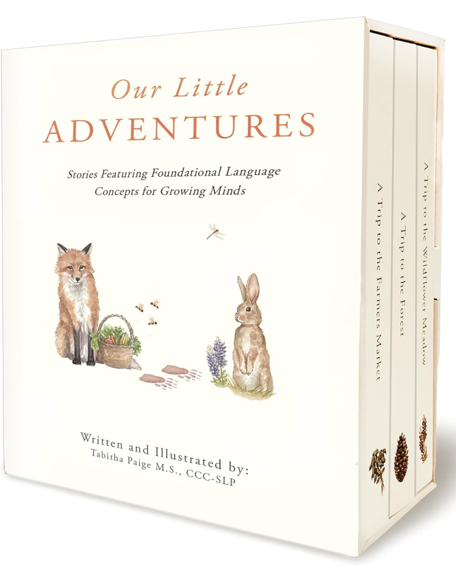 Our Little Adventures: Stories Featuring Foundational Language Concepts for Growing Minds