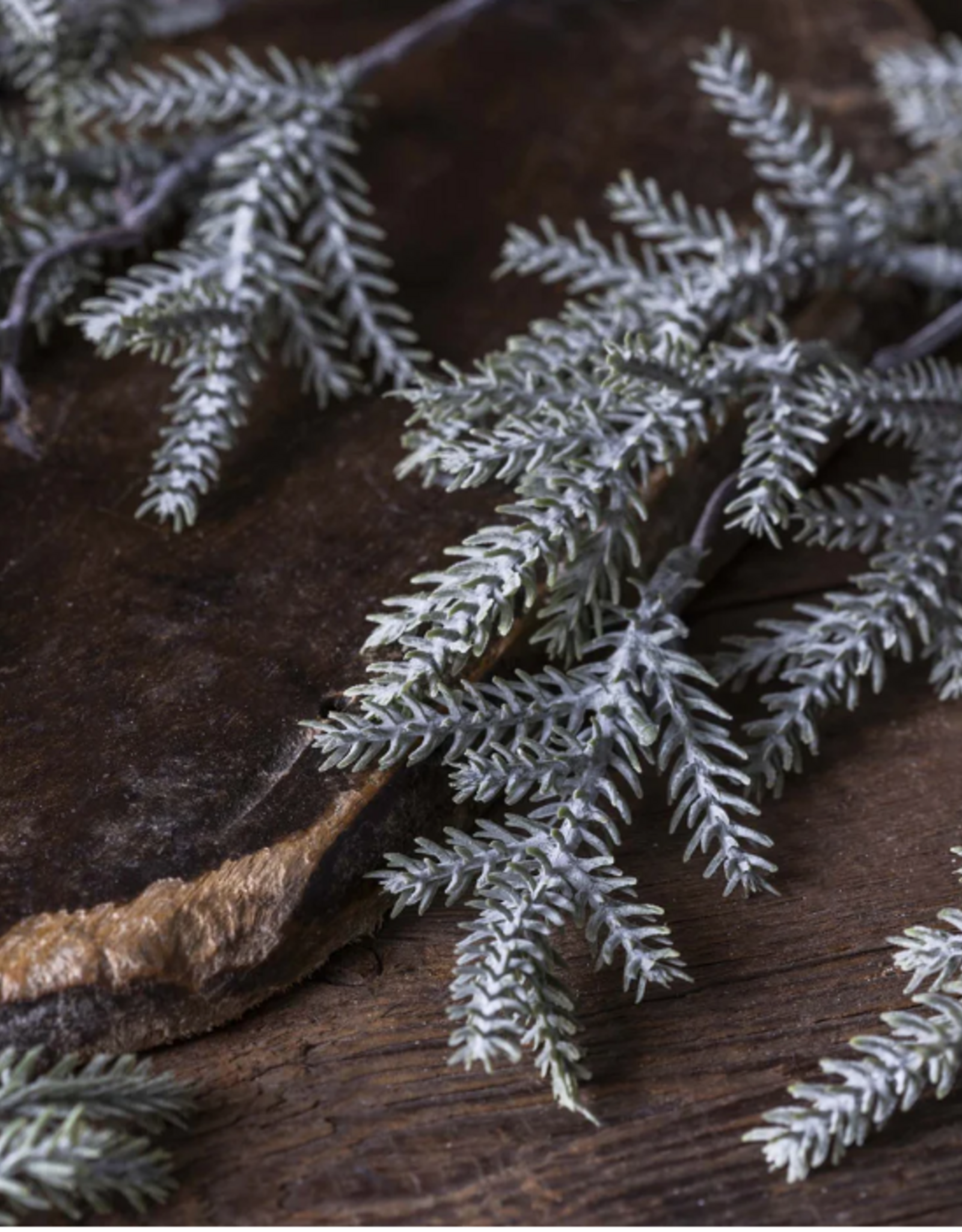 Artificial Pine Branch, Frost