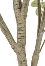 Faux Eucalyptus Tree 9'