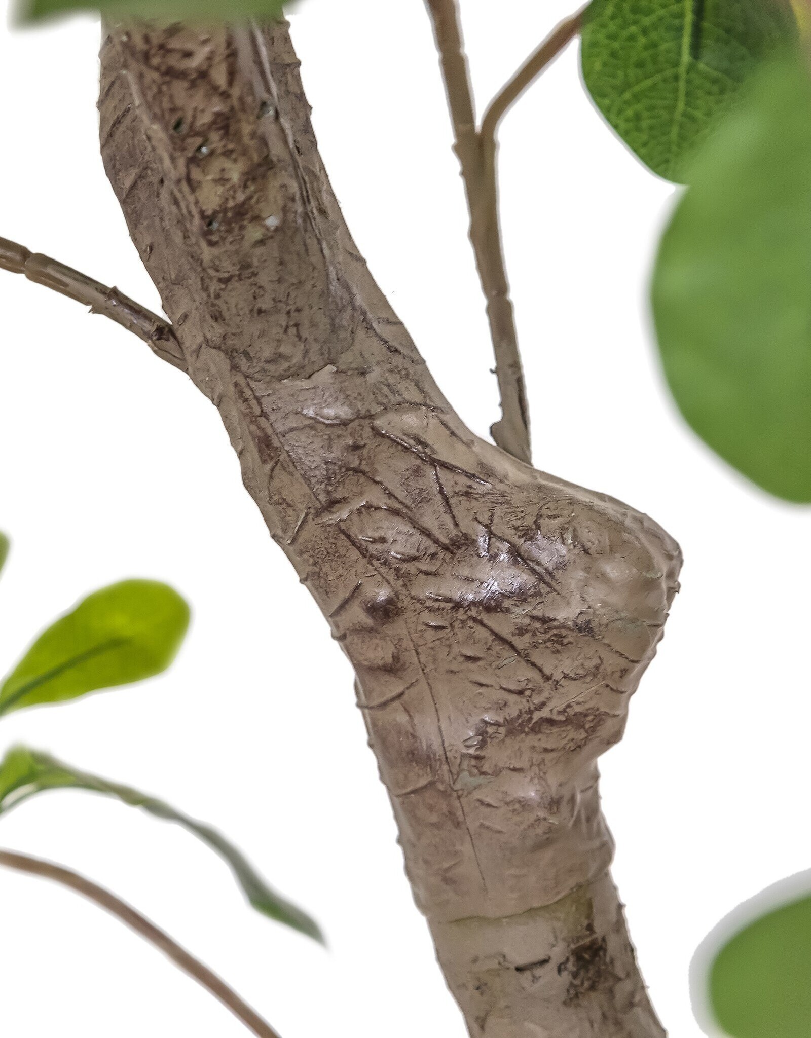 Faux Aralia Tree Faux Aralia Tree •