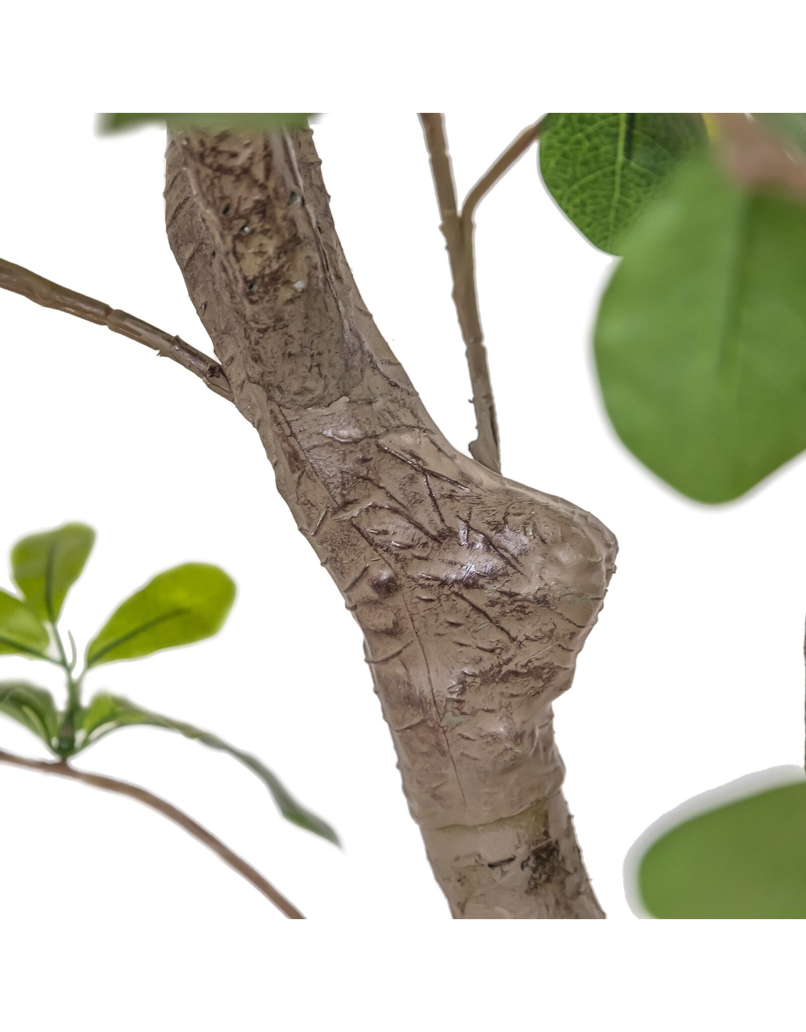 Faux Aralia Tree 8'