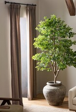 Faux Aralia Tree 8'