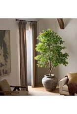 Faux Aralia Tree 8'