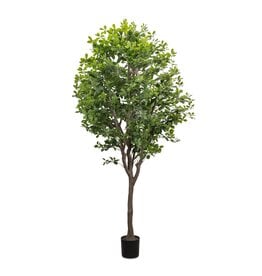 Faux Aralia Tree Faux Aralia Tree •