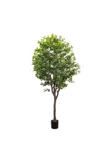 Faux Aralia Tree 8'