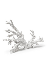 Large Coral Branch
