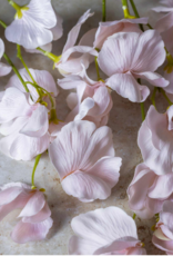 Artificial Sweet Pea Stem