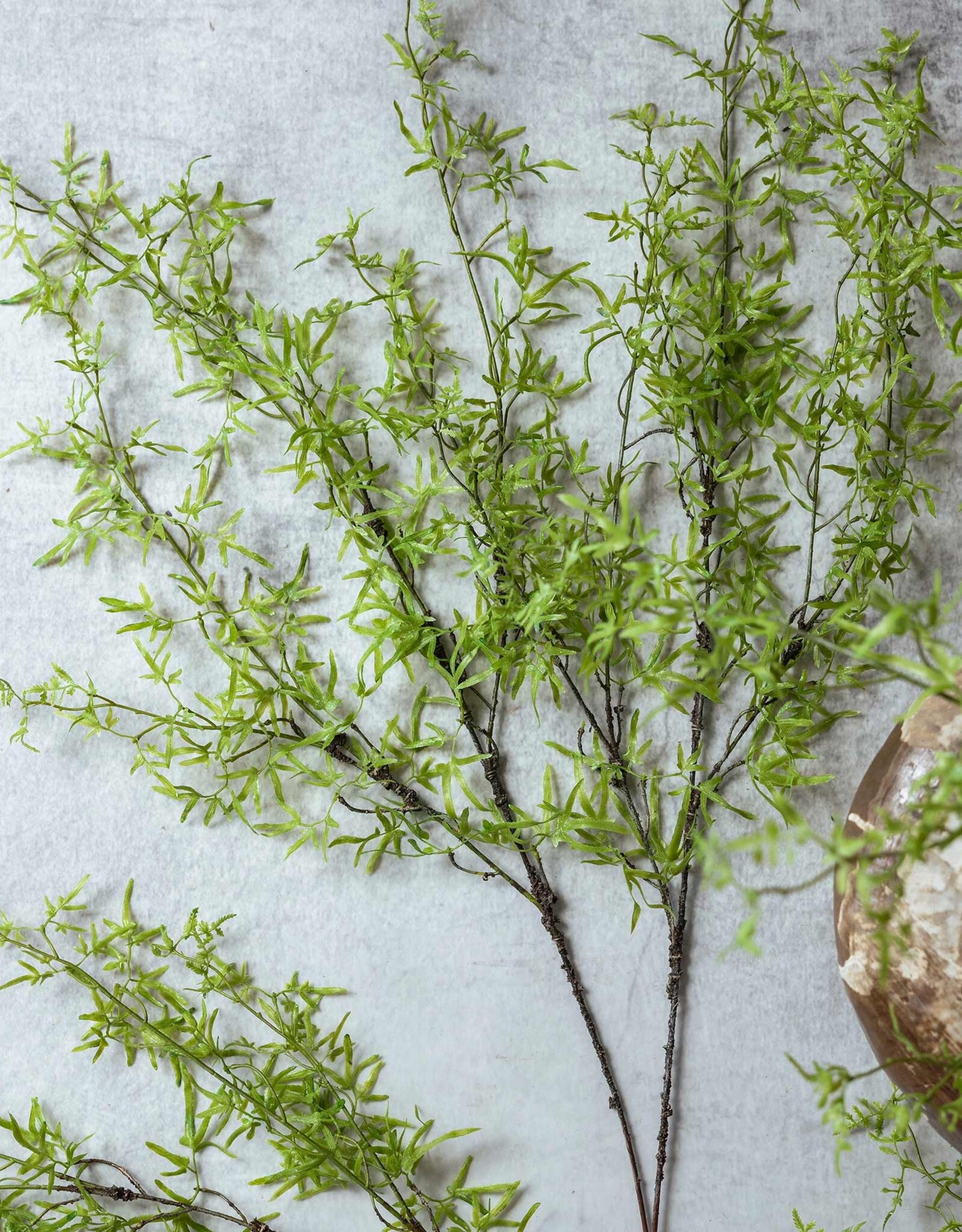 Fern Branch, Soft Green