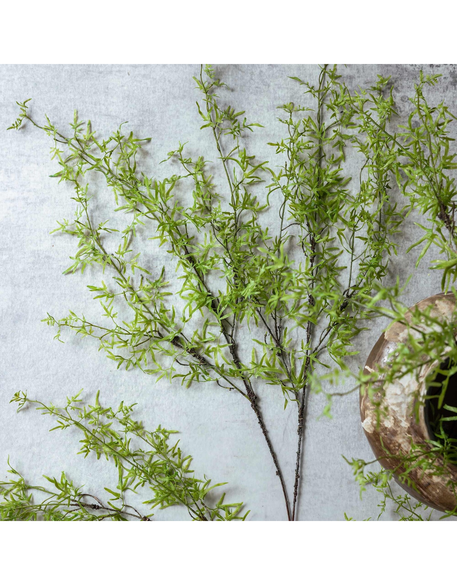 Fern Branch, Soft Green