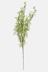 Fern Branch, Soft Green