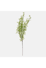Fern Branch, Soft Green