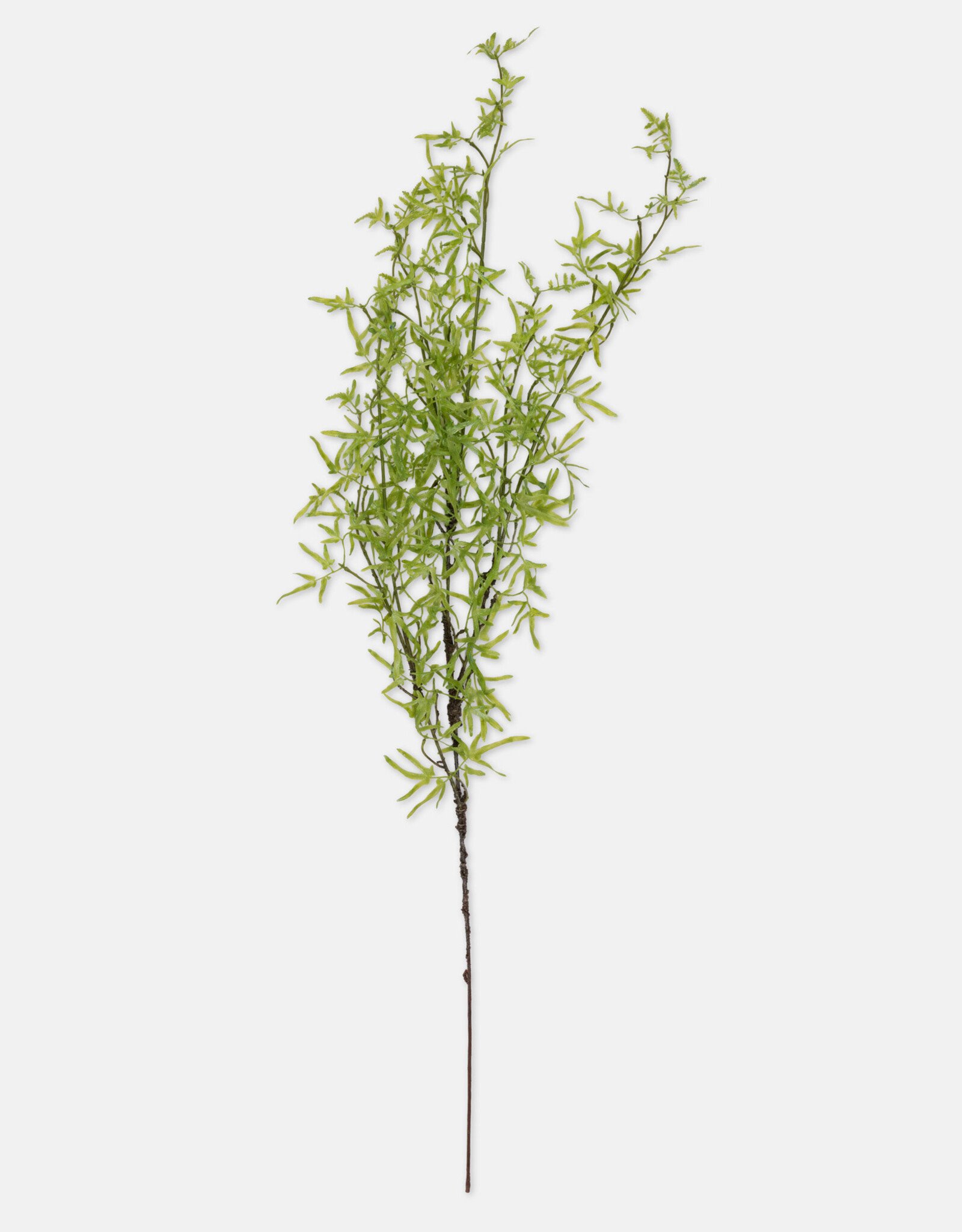 Fern Branch, Soft Green