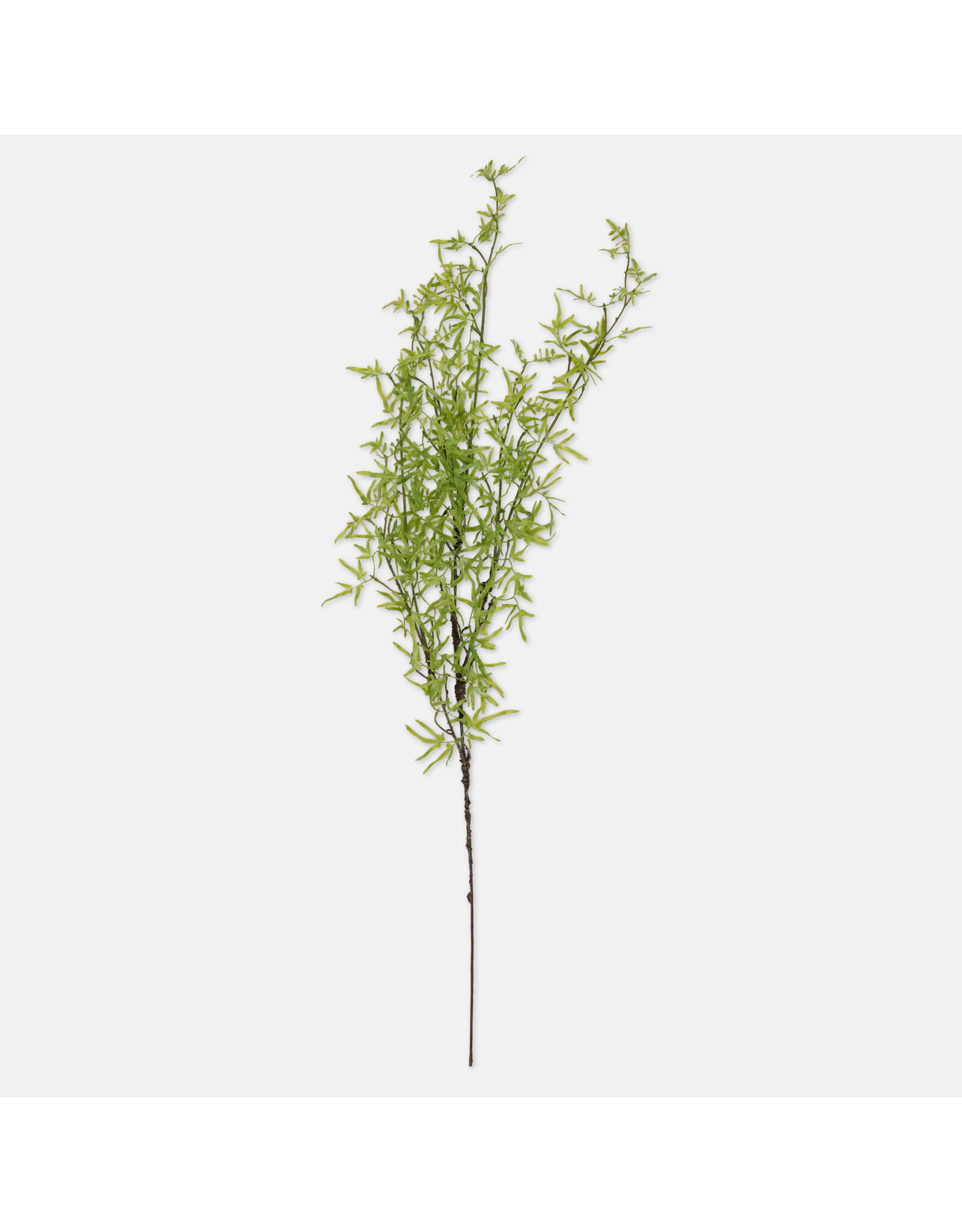 Fern Branch, Soft Green