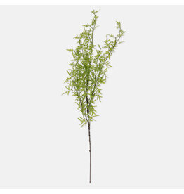 Fern Branch, Soft Green